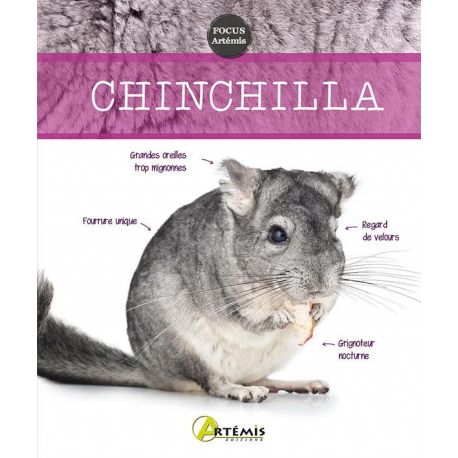 CHINCHILLA