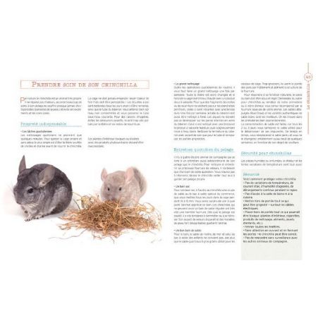 CHINCHILLA