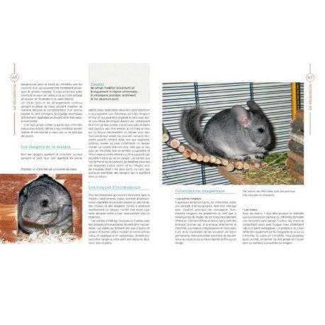 CHINCHILLA