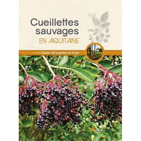 CUEILLETTES SAUVAGES EN AQUITAINE