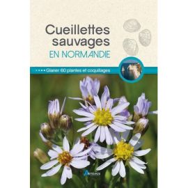 CUEILLETTES SAUVAGES EN NORMANDIE