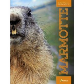 LA MARMOTTE