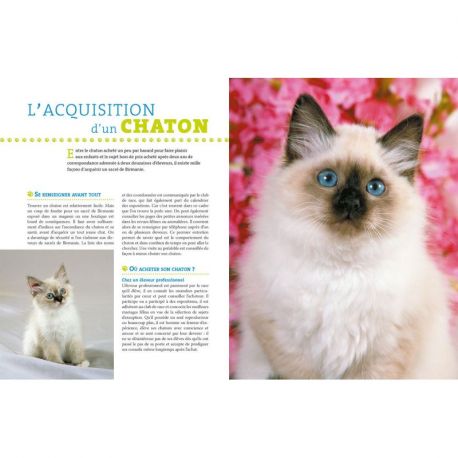 LE SACRE DE BIRMANIE