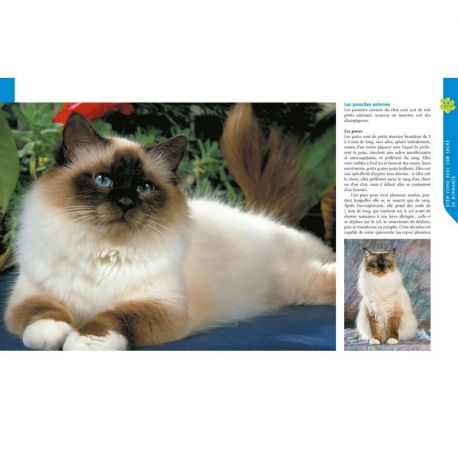 LE SACRE DE BIRMANIE