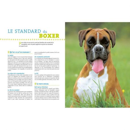 BOXER