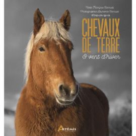 CHEVAUX DE TERRE ET VENT D'HIVER