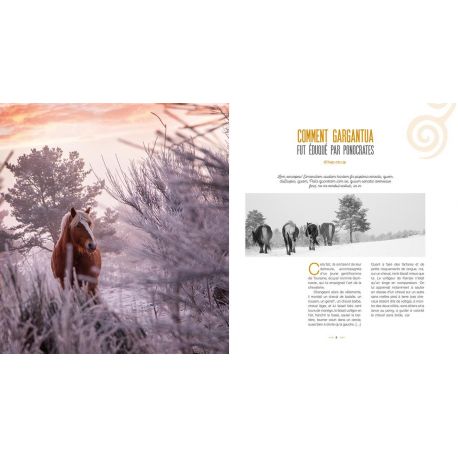 CHEVAUX DE TERRE ET VENT D'HIVER