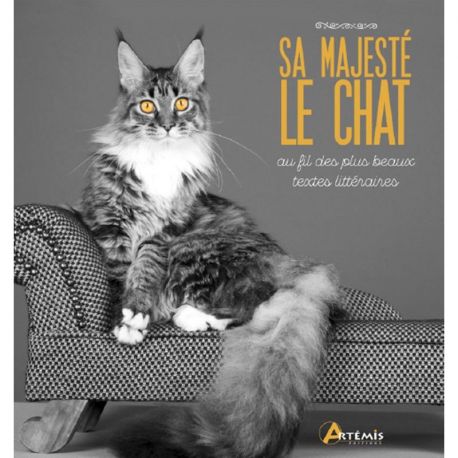 SA MAJESTE LE CHAT