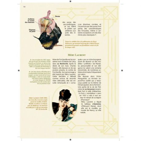 VOYAGE BOTANIQUE & SENTIMENTAL DU COTE DE CHEZ PROUST