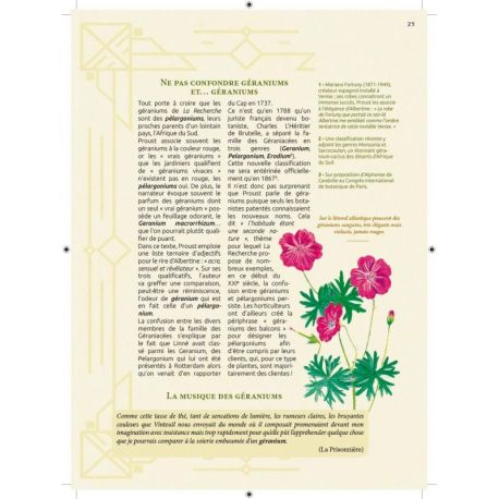 VOYAGE BOTANIQUE & SENTIMENTAL DU COTE DE CHEZ PROUST