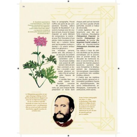 VOYAGE BOTANIQUE & SENTIMENTAL DU COTE DE CHEZ PROUST
