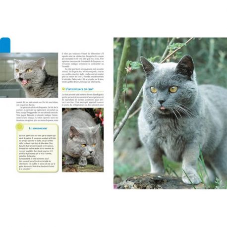 CHARTREUX