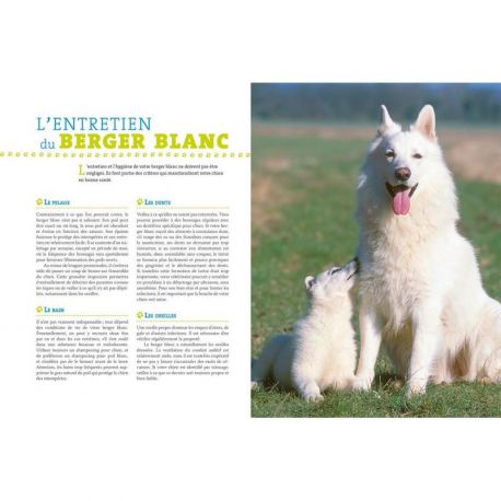 BERGER BLANC SUISSE