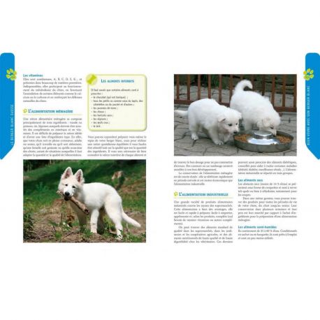 BERGER BLANC SUISSE