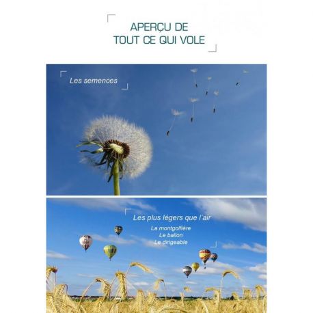 RÊVE D'ICARE - L'ESSENTIEL SUR TOUT CE QUI VOLE
