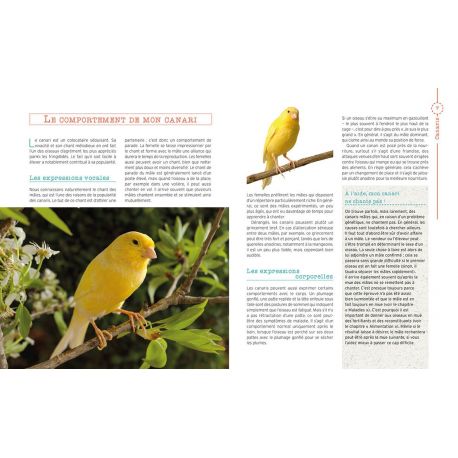 CANARIS