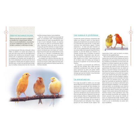 CANARIS