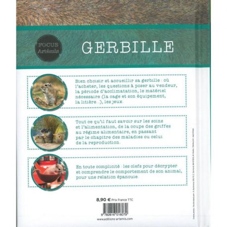 GERBILLE