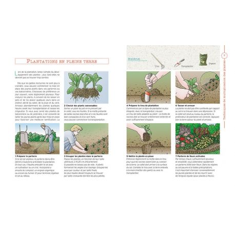 TECHNIQUES DE MULTIPLICATION DES PLANTES