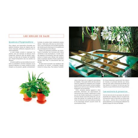 PLANTES D'INTERIEUR INCREVABLES