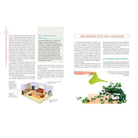 PLANTES D'INTERIEUR INCREVABLES