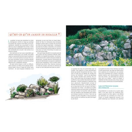 JARDIN DE ROCAILLE