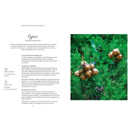 LE POUVOIR DES HUILES ESSENTIELLES