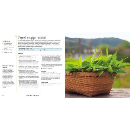 AVENTURES VEGETALES : CUEILLIR CUISINER, CREER AVEC LES PLANTES