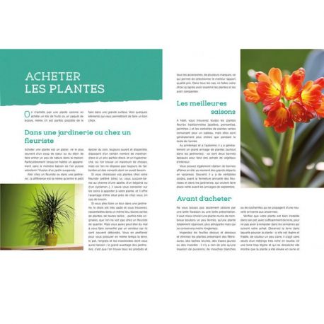 LES PLANTES D'INTERIEUR