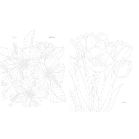 PEINDRE A L'AQUARELLE - 20 FLEURS DES QUATRE SAISONS