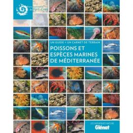 POISSONS ET ESPECES MARINES DE MEDITERRANEE