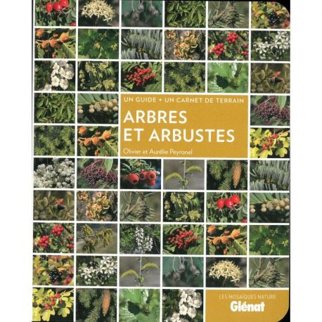 ARBRES ET ARBUSTES