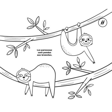 50 COLORIAGES RELAXANTS - NATURE