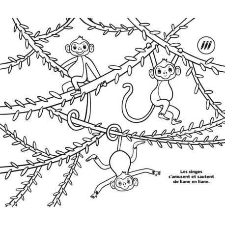50 COLORIAGES RELAXANTS - NATURE