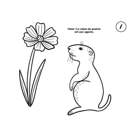 50 COLORIAGES RELAXANTS - NATURE