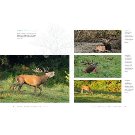 LA VIE CACHEE DES ANIMAUX SAUVAGES