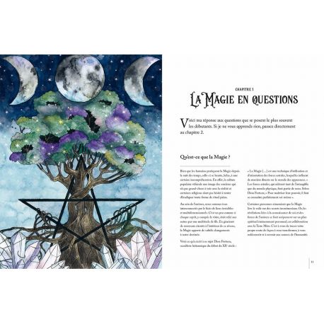 LE GRIMOIRE DE LA SORCIERE