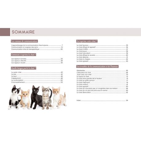 TOUT SUR LE LANGAGE SECRET DU CHAT