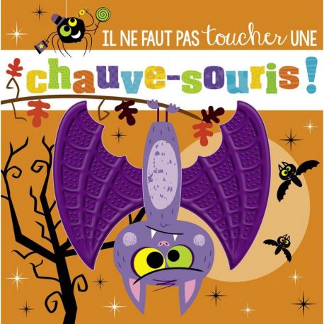 IL NE FAUT PAS TOUCHER UNE CHAUVE- SOURIS