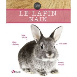 LE LAPIN NAIN