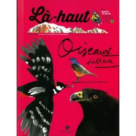 LA-HAUT, OISEAUX D'ALTITUDE