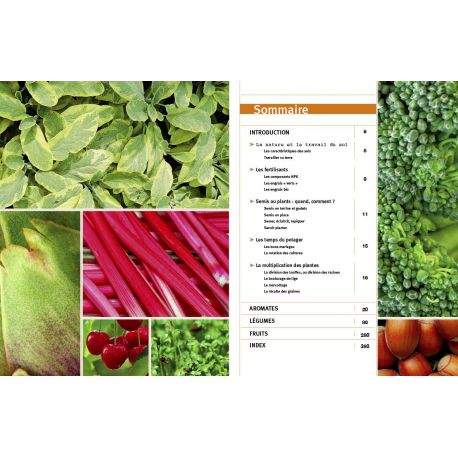 ENCYCLOPEDIE VISUELLE DU POTAGER ET DU VERGER