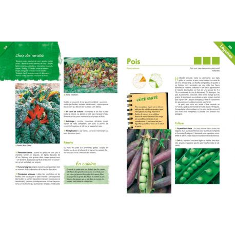 ENCYCLOPEDIE VISUELLE DU POTAGER ET DU VERGER