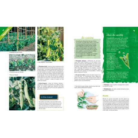 ENCYCLOPEDIE VISUELLE DU POTAGER ET DU VERGER