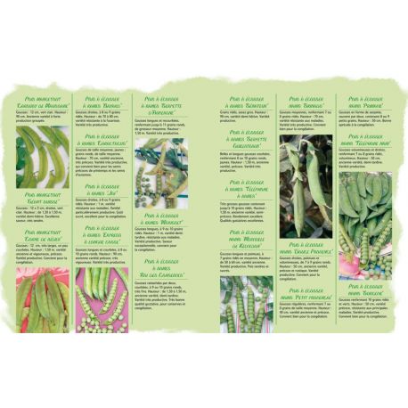 ENCYCLOPEDIE VISUELLE DU POTAGER ET DU VERGER