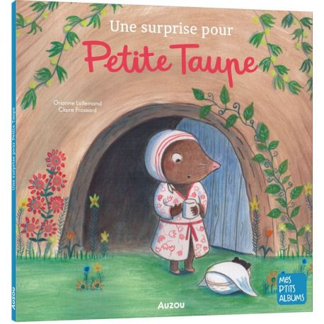 UNE SURPRISE POUR PETITE TAUPE