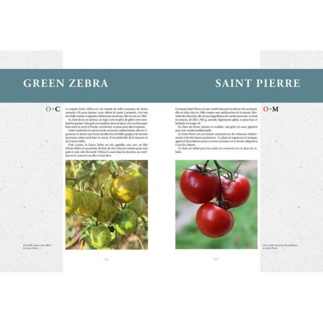 TOMATES - TECHNIQUES DE CULTURE CHOIX VARIETES - CONSEILS - CUISINE