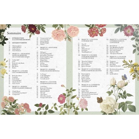 ROSES - MANUEL DU JARDINIER