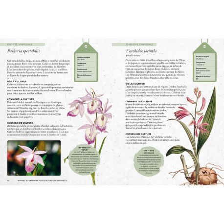 ORCHIDEES - MANUEL DU JARDINIER