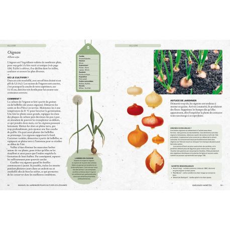 LEGUMES - MANUEL DU JARDINIER